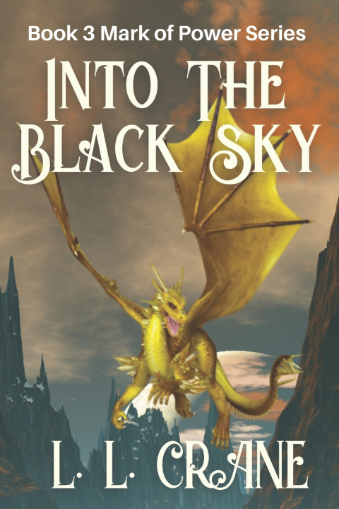 Knjiga Into the Black Sky L L Crane