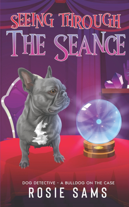 Buch Seeing Through the Seance Rosie Sams