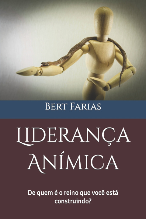 Buch Lideranca Animica Bert M Farias