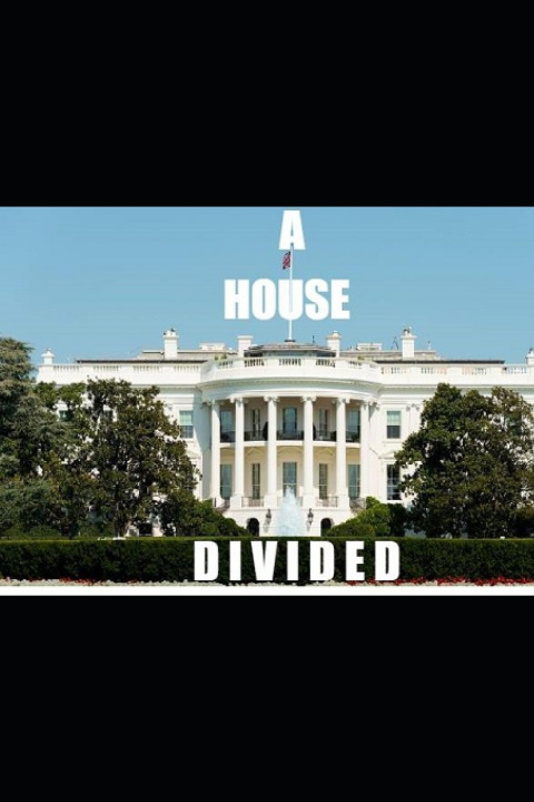 Book House Divided Andrew Woods