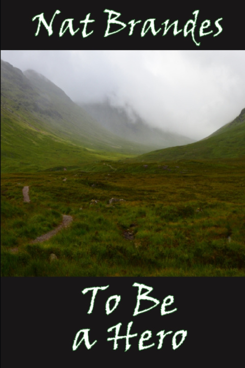 Boek To Be a Hero Nat Brandes
