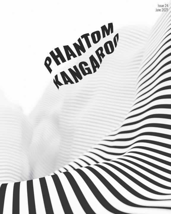 Knjiga Issue 24 Phantom Kangaroo