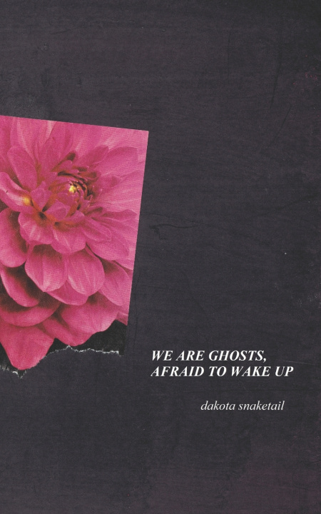 Knjiga We Are Ghosts, Afraid To Wake Up Dakota Snaketail