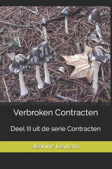 Boek Verbroken Contracten Jeanine Leytens