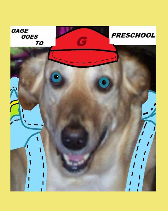 Knjiga Gage Goes To Preschool Paula Ann Finn