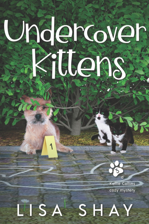 Knjiga Undercover Kittens Lisa Shay