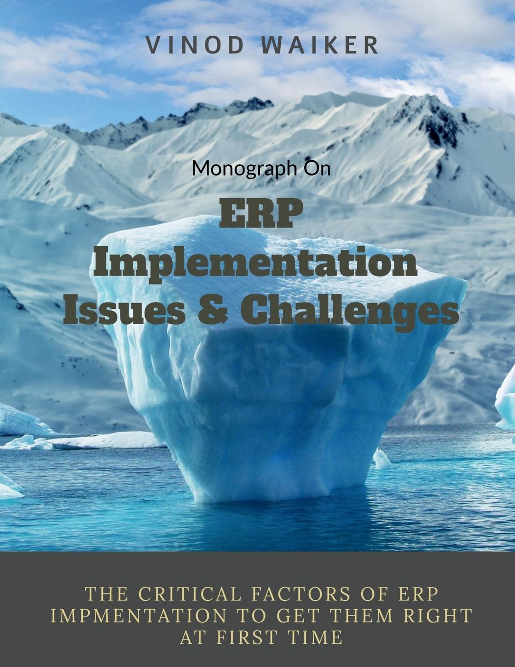 Knjiga ERP implementation Issues and Challenges Vinod Waiker
