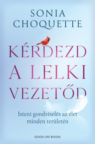 Buch Kérdezd a lelki vezetőd Sonia Choquette
