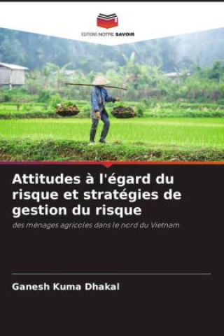 Buch Attitudes ? l'égard du risque et stratégies de gestion du risque Ganesh Kuma Dhakal