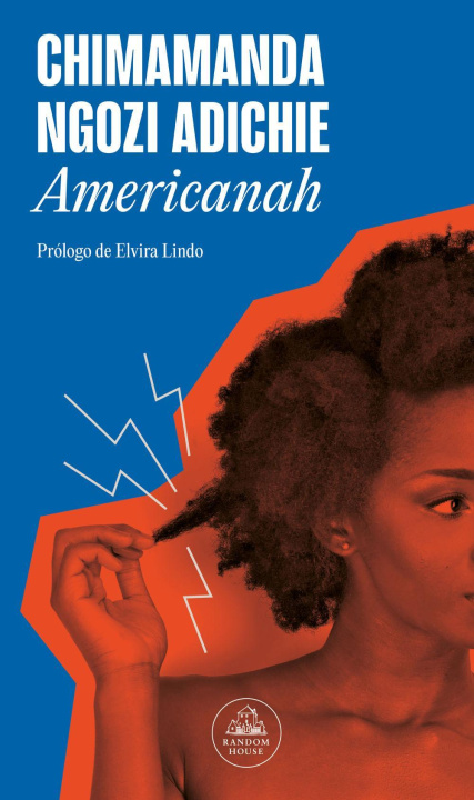 Livre Americanah NGOZI ADICHIE