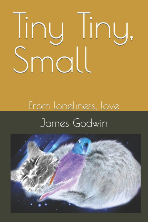 Buch Tiny Tiny, Small James Godwin
