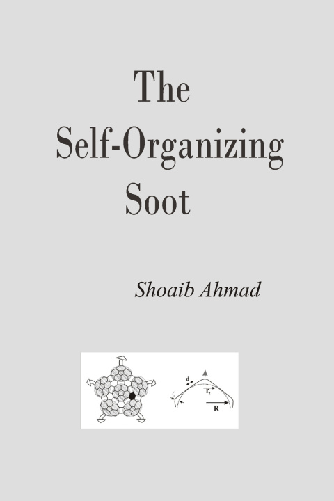 Knjiga Self-Organizing Soot Shoaib Ahmad