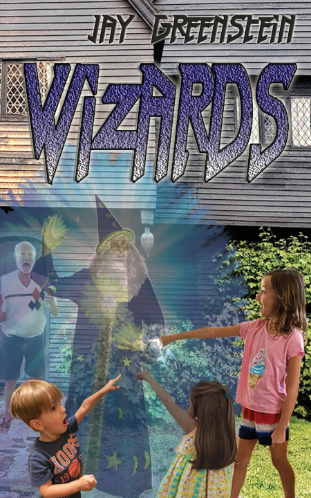 Knjiga Wizards Jay Greenstein