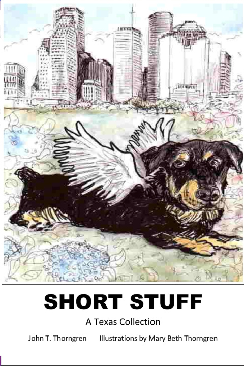 Knjiga Short Stuff John T Thorngren