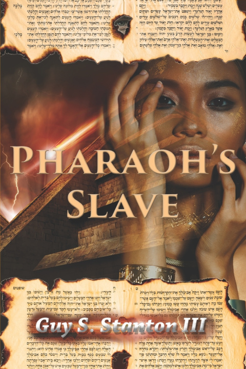 Libro Pharaoh's Slave Stanton
