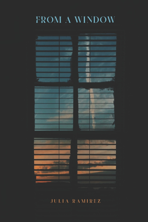 Knjiga From a Window Julia Ramirez