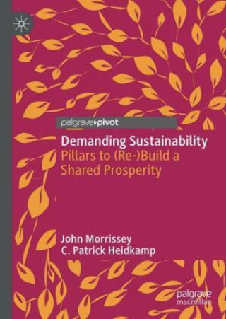 Книга Demanding Sustainability John Morrissey