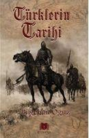 Buch Türklerin Tarihi 