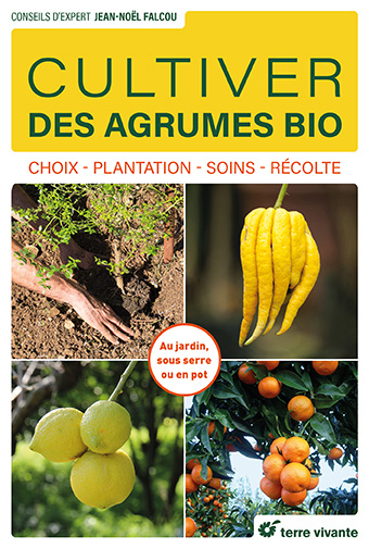 Kniha Cultiver des agrumes bio Falcou