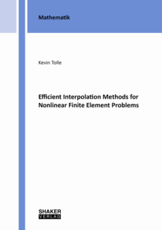 Knjiga Efficient Interpolation Methods for Nonlinear Finite Element Problems Kevin Tolle