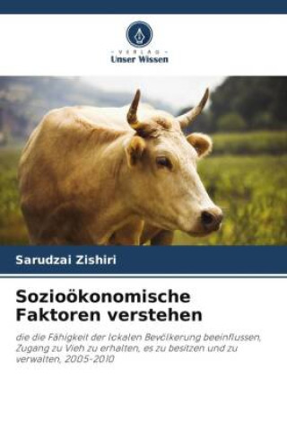Buch Sozioökonomische Faktoren verstehen Sarudzai Zishiri