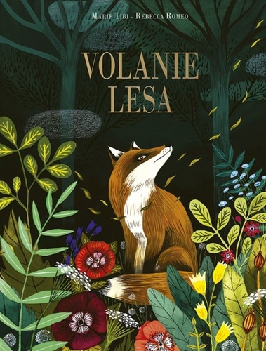 Buch Volanie lesa Rebecca Romeo Marie