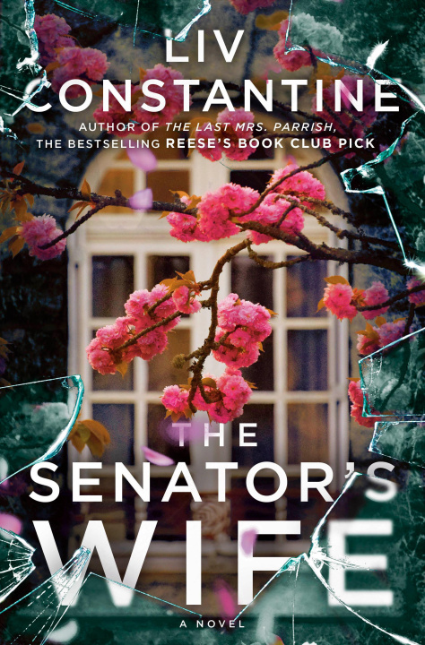 Könyv The Senator's Wife 