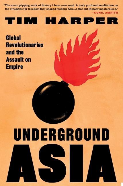 Kniha Underground Asia: Global Revolutionaries and the Assault on Empire 