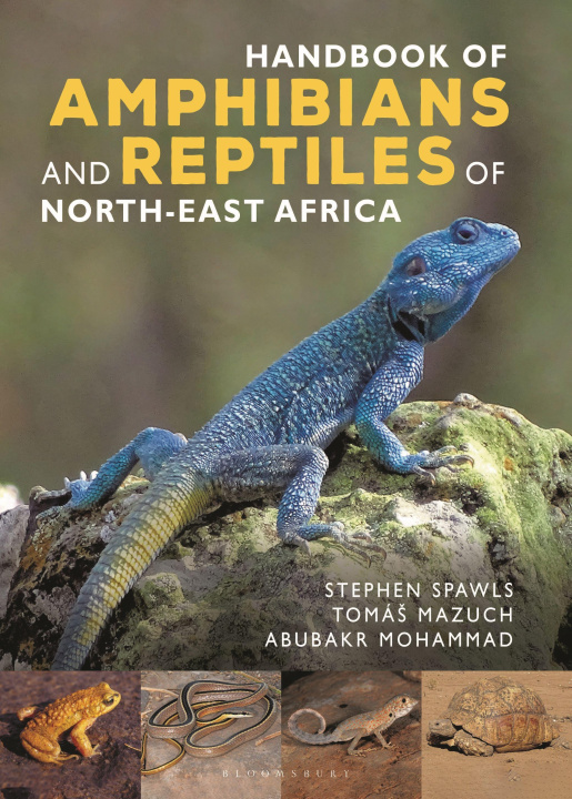 Книга Handbook of Amphibians and Reptiles of Northeast Africa Abubakr Mohammad