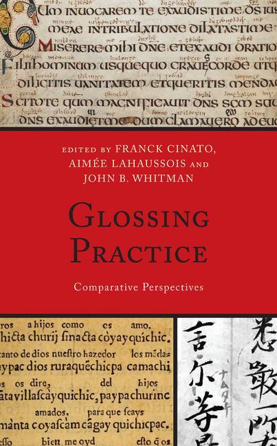 Knjiga Glossing Practice Aimée Lahaussois