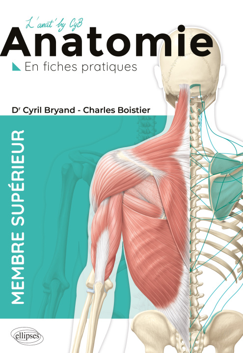 Kniha L'anatomie en fiches - Membre supérieur Boistier