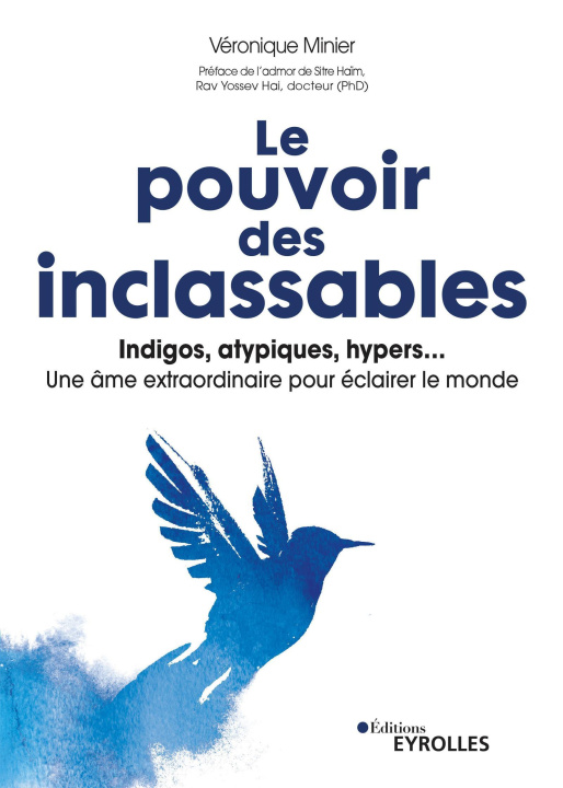 Könyv Le pouvoir des inclassables Minier