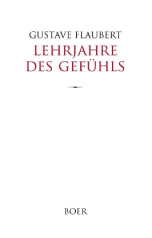 Buch Lehrjahre des Gefühls Gustave Flaubert