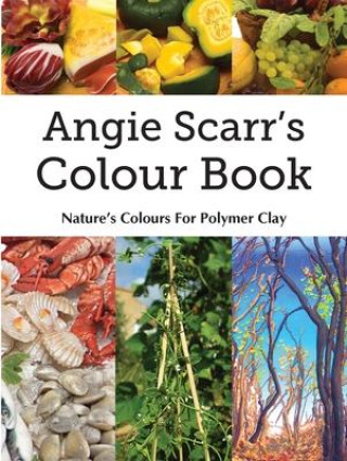 Book Angie Scarr's Colour Book: Nature's Colours For Polymer Clay Angie Scarr