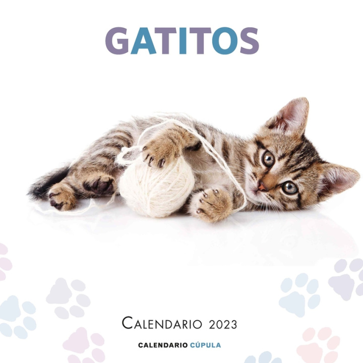 Carte Calendario Gatitos 2023 