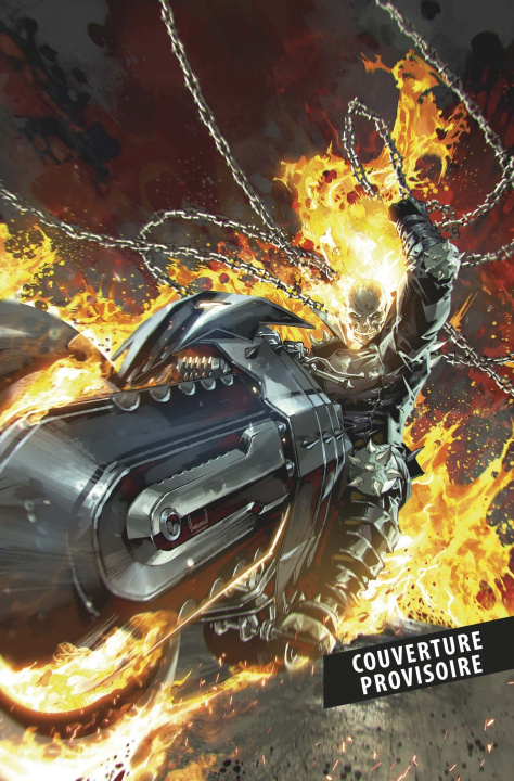 Kniha Ghost Rider T01 : De sombres recoins 