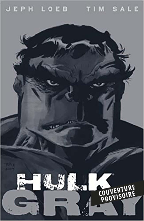 Buch Hulk : Gris 