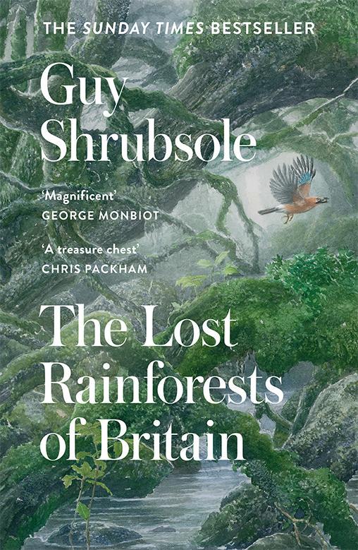 Kniha Lost Rainforests of Britain Guy Shrubsole