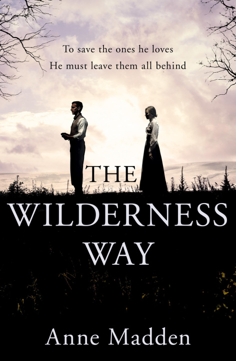 Knjiga Wilderness Way Anne Madden