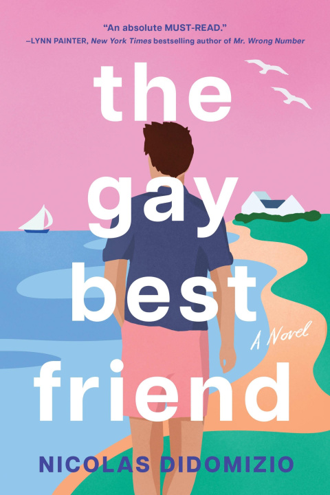 Kniha Gay Best Friend Nicolas DiDomizio