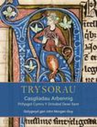 Kniha Trysorau: Casgliadau Arbennig Prifysgol Cymru Y Drindod Dewi Sant 