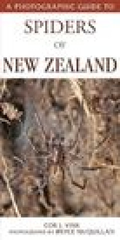 Könyv Photographic Guide To Spiders Of New Zealand Cor Vink