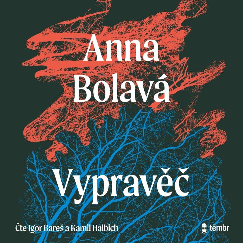 Kniha Vypravěč Anna Bolavá