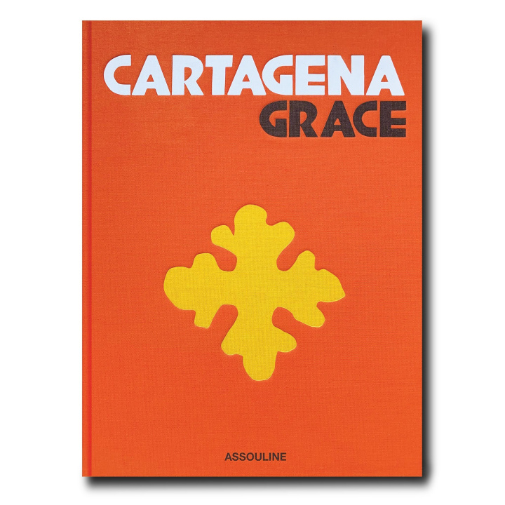 Knjiga Cartagena Grace Santo Domingo