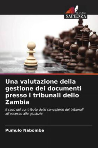 Buch Una valutazione della gestione dei documenti presso i tribunali dello Zambia Pumulo Nabombe