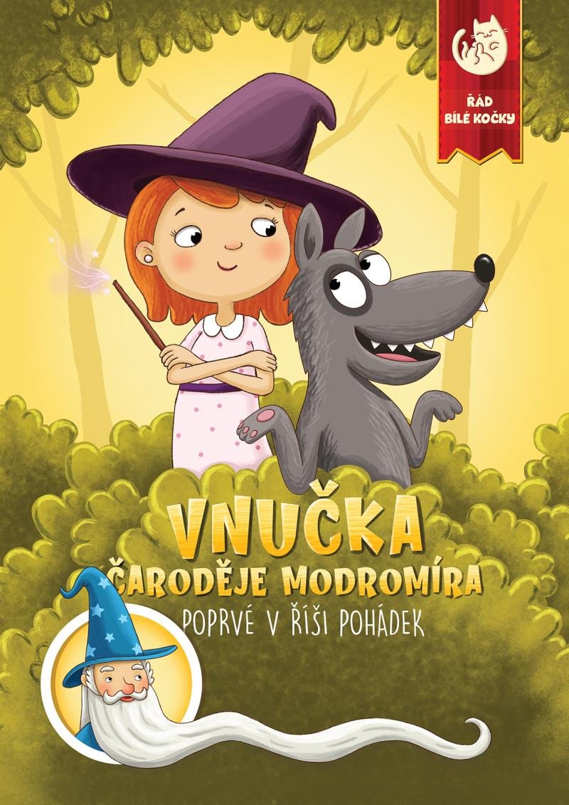 Könyv Vnučka čaroděje Modromíra / Poprvé v říši pohádek Martin Kučera