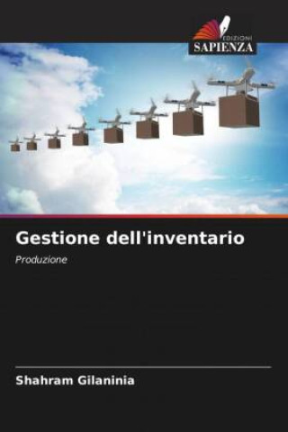 Buch Gestione dell'inventario Shahram Gilaninia