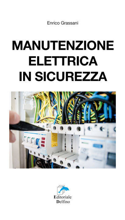Könyv Manutenzione elettrica in sicurezza Enrico Grassani