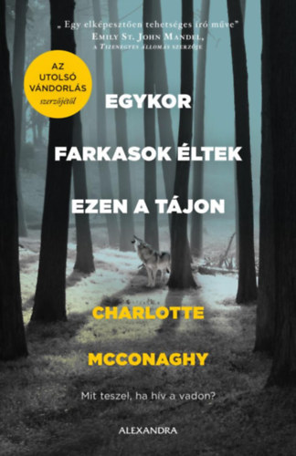 Kniha Egykor farkasok éltek ezen a tájon Charlotte Mcconaghy