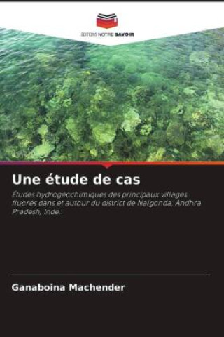 Book Une étude de cas Ganaboina Machender